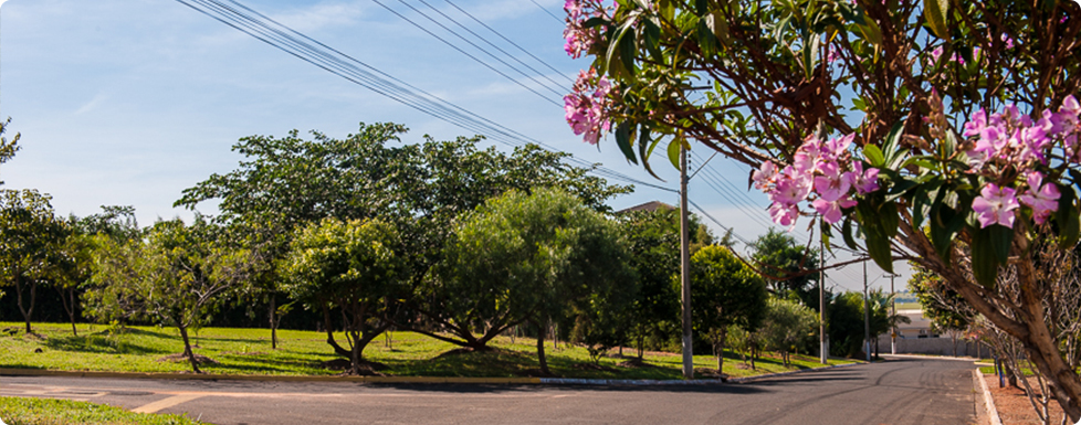 imagens da vida no Residencial Primavera