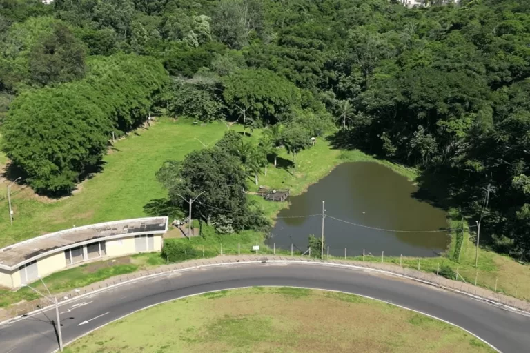 imagem ilustrando o artigo Área verde: qual a importância em um loteamento?